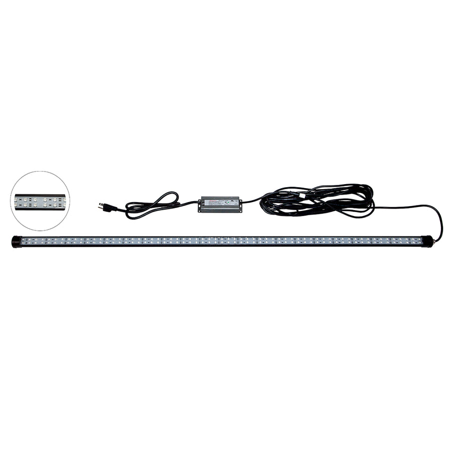 Hydro Glow 4' LED DockMaster 2000K Amber LED 120V [DM260A]